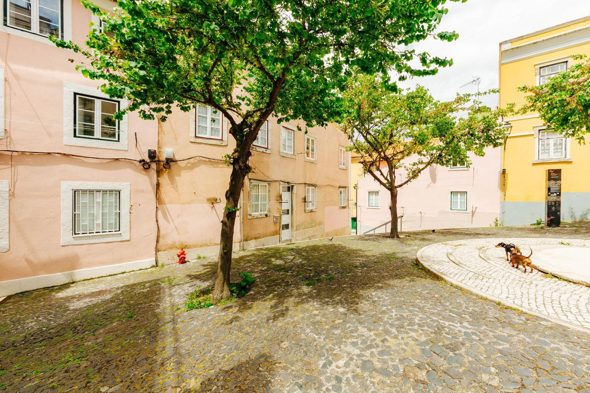 Rent4Rest Lisbon Downtown Tiny Studio Apartments Kültér fotó
